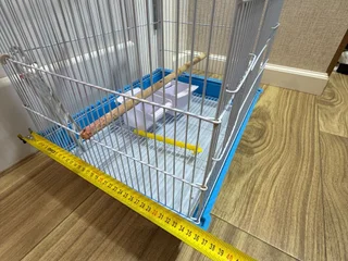 клетку для попугая. Размеры указаны на фото. В комплекте поилка, кормушка, лесинка.