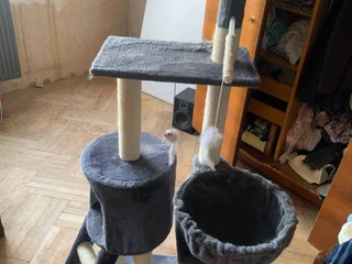Большой кошкин дом