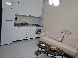 1-комнатная квартира, 47 м²