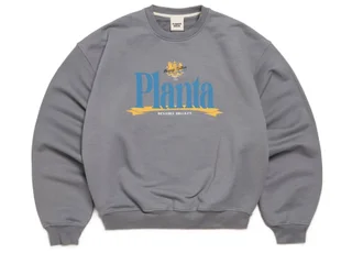 Свитшот PlantaRosa Lucidity