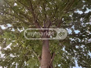 Топливный материал