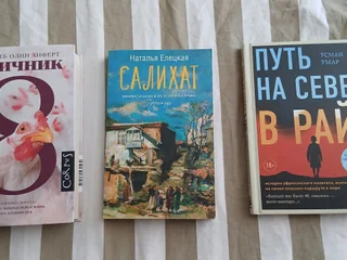 Набор книг: Птичник, Салихат и Путь на север в рай