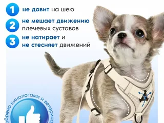 Анатомическая шлейка S размера