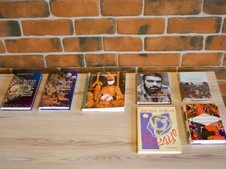 Книги (Малин Кивеля, Шекспир, Довлатов, Борхес и др.)