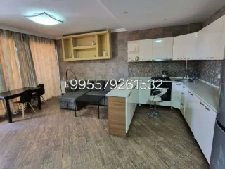 Квартира 1+1 на улице Лермонтова, 31