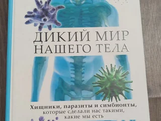 Белка, голос!, Хидэо Фурукава