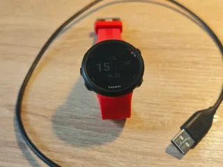 Спортивные часы Garmin Forerunner 45