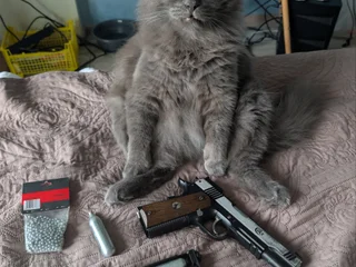 Пневматический пистолет Colt Special Combat CO2