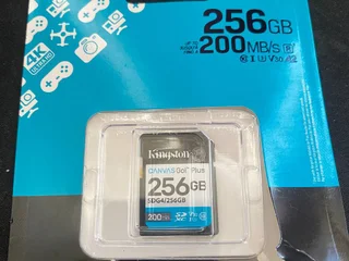 SD карта Kingston Canvas Go! Plus 256GB
