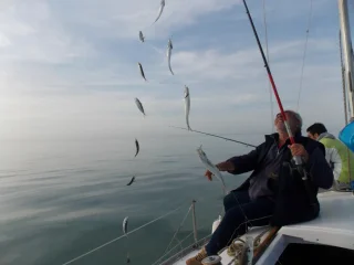 Рыболовные поездки в Батуми