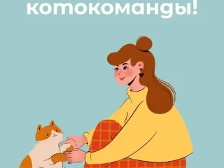 Помощники в команду волонтёров по помощи бездомным котикам