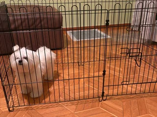 Клетка для собак