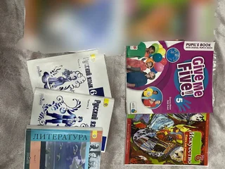 Книга Русский язык Т. Баранов 2 части