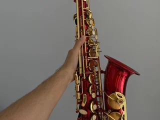 Альтсаксофон с чехлом, ремнями и тростями