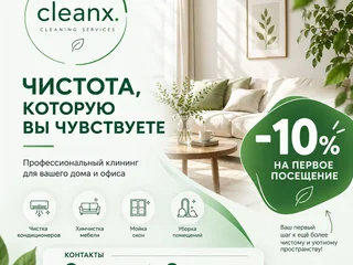 Профессиональный клининг и химчистка