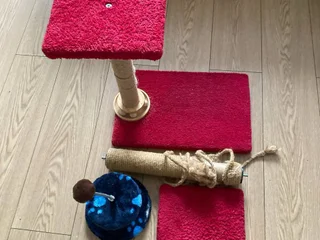 Лот для кота
