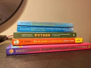 Python Программирование Minecraft