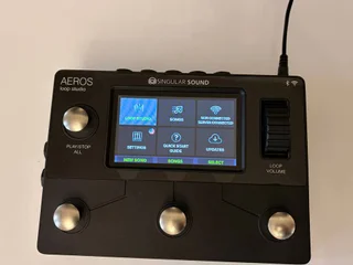 Гитарный лупер Singular Sound Aeros Loop Studio