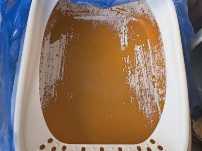Кошачий лоток