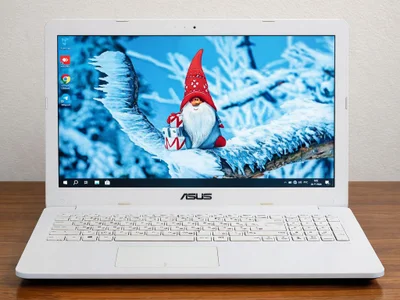 Ноутбук Asus Intel Celeron N3350 4GB 256GB SSD