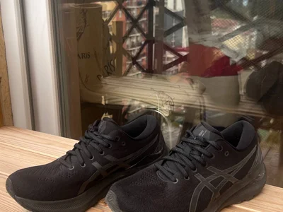 Кроссовки Asics Gel Kayano 29