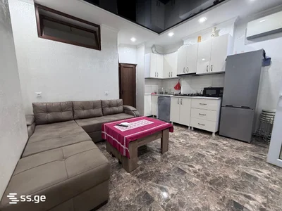 1+1 на David Agmashenebeli Street 10 Agmashenebeli District