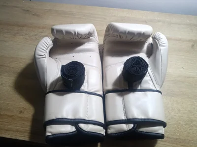 Перчатки Fight House 16 oz