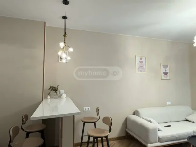 1+1 на Ш. Инасаридзе Ул. 6 ხიმშიაშვილის უბანი