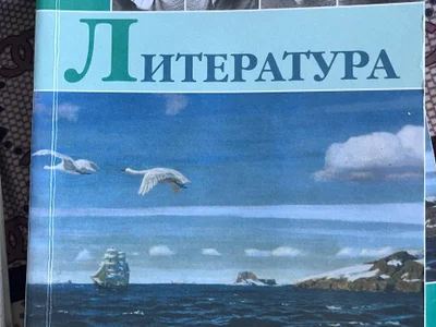 Литература (две части)