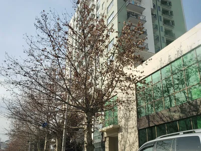 2-комнатная квартира в Тбилиси
