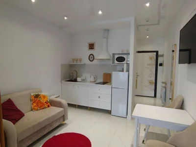Студия в центре , до лета $400