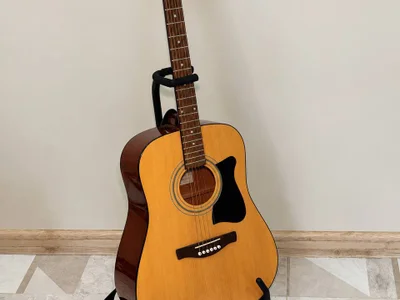 Акустическая гитара Ibanez V50NJP-NT