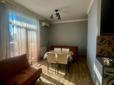 1+1 на ул. Георгия Брцкинвале, $400