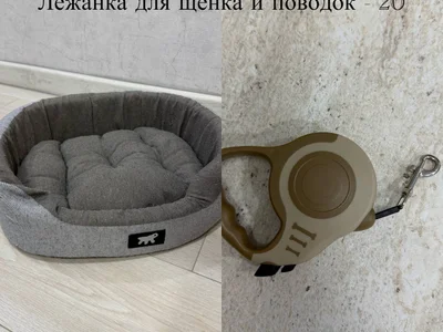 Лежанка для щенка и поводок