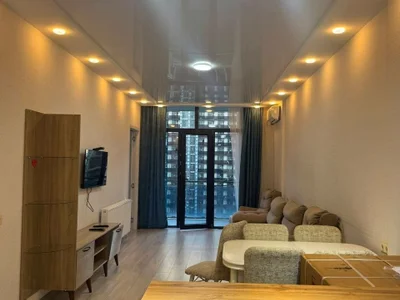 2+1 на Ангиси I переулок 8 Airport District