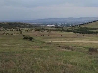 Земля на продажу. Варкетили