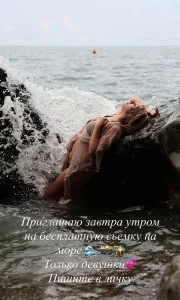 Морской лев