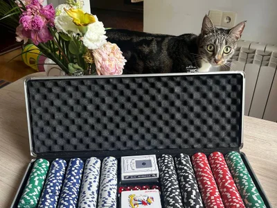Набор Texas Hold’em Casino Style, 200 фишек
