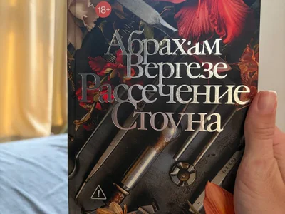 Рассечение Стоуна. роман
