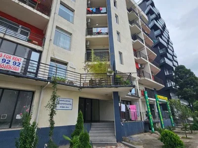 1+1 на Андрия  пирвелцодебули шоссе 4 Kakhaberi District