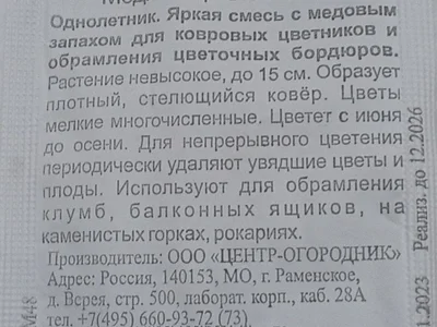 Опунция в ведёрке