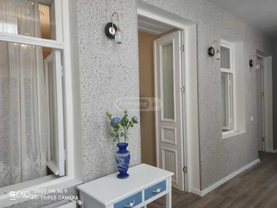 Коммерческое помещение на Kurdiani st. Nadzaladevi
