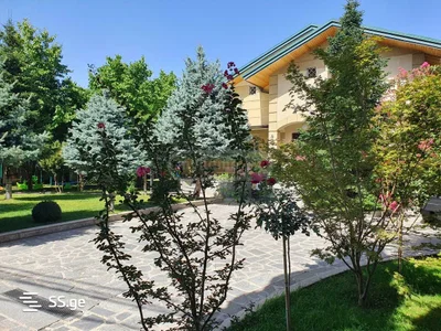 8 room Private House For Rent. Saburtalo