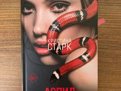 Книга Кристина Старк Аспид