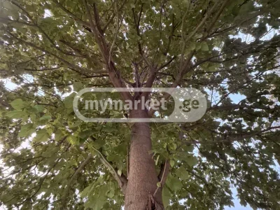Топливный материал