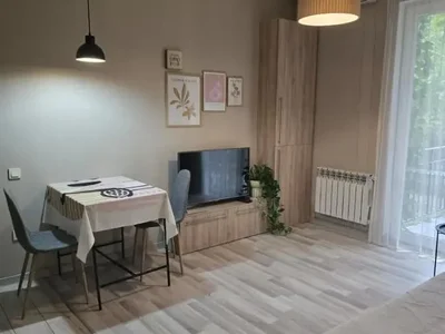 2 room Flat For Rent. Saburtalo