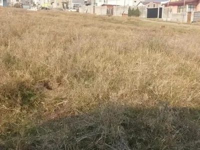 Участок под застройку, Диди Дигоми
