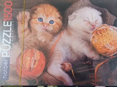 Пазлы Котята, 1500 элементов