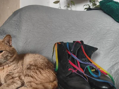 🌈 ботинки dr. martens с радужными строчкой и шнурками из лимитированной коллекции.