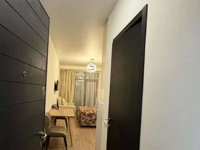 1 комнатная у Парка 6 Мая, $350